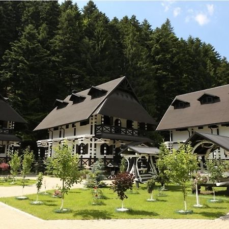 Complex Lions Bucovina Hotel Воронец Екстериор снимка