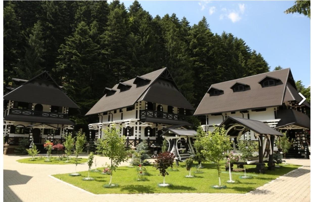 Complex Lions Bucovina Hotel Воронец Екстериор снимка