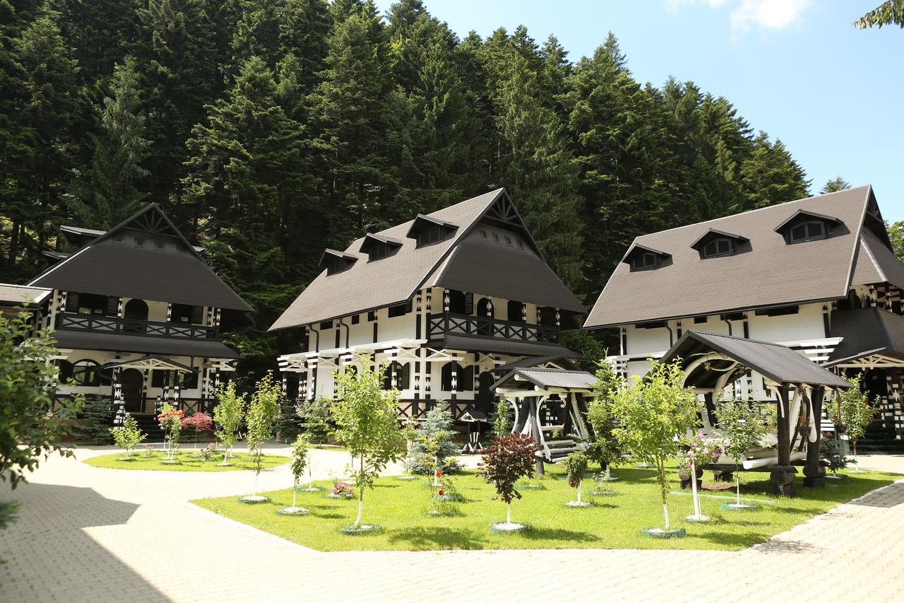 Complex Lions Bucovina Hotel Воронец Екстериор снимка