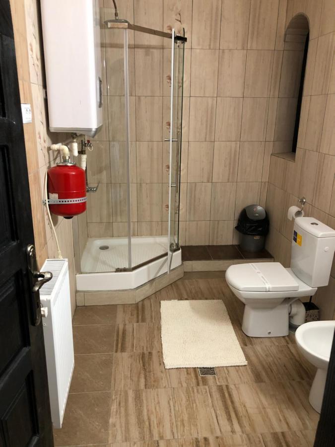 Complex Lions Bucovina Hotel Воронец Екстериор снимка